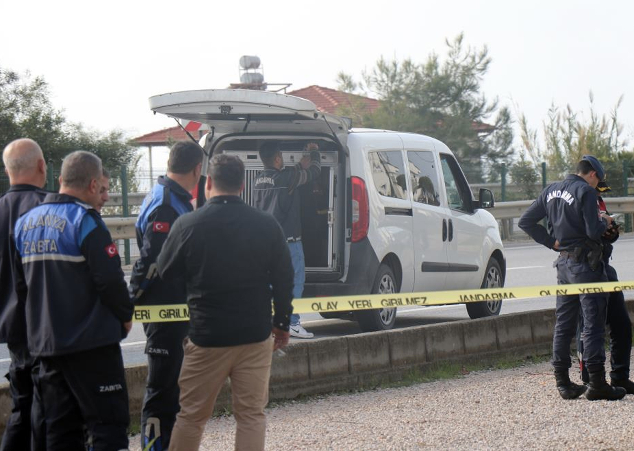 Akli dengesi yerinde olmayan kadın binaya 3 patlayıcı koydu