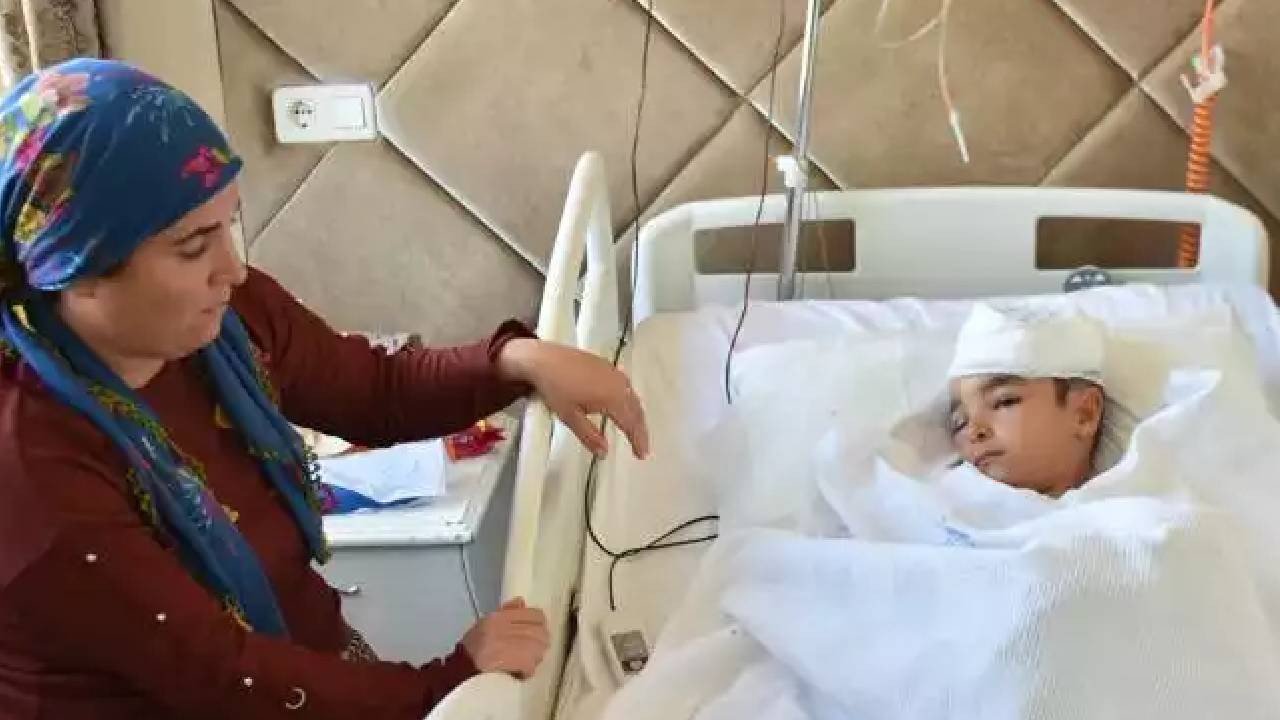 Başıboş köpeğin saldırdığı çocuğun kafa derisi koptu