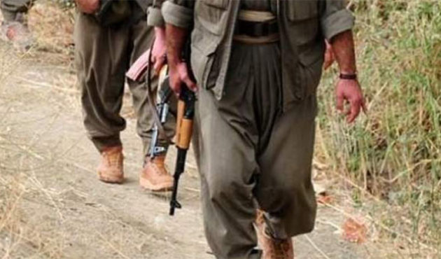 Bingöl'de bir PKK'lı terörist yakalandı!