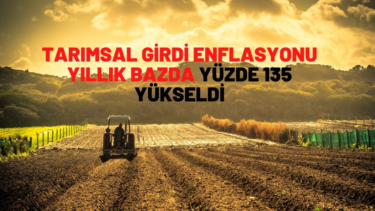 Tarımsal girdi enflasyonu yıllık bazda yüzde 135 yükseldi