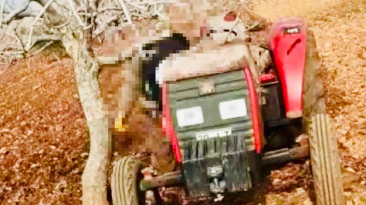 Şanlıurfa'da boynu fıstık dalına takılan adam hayatını kaybetti