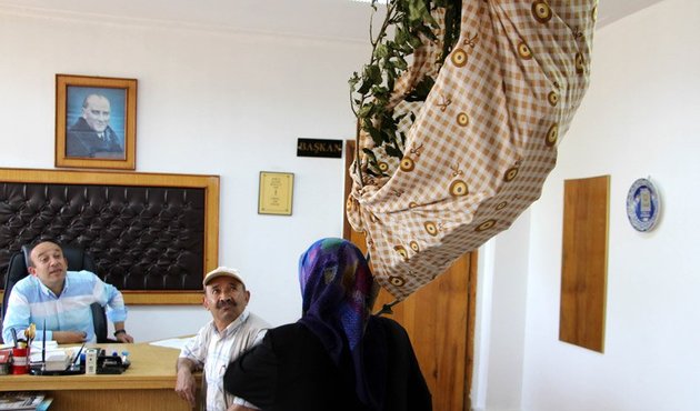 71 yaşındaki kadın kesilen ağacını omuzladı, ‘Neden kestiniz’ diye belediyeye hesap sordu!