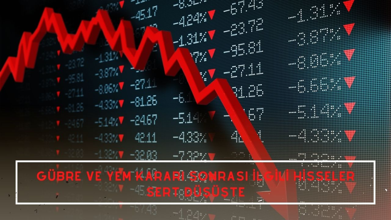 Gübre ve yem kararı sonrası ilgili hisseler sert düşüşte
