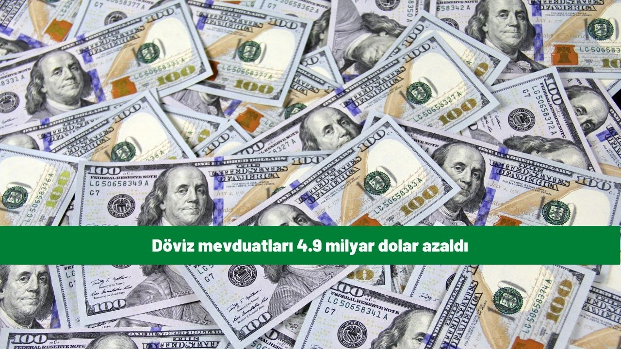 Döviz mevduatları 4.9 milyar dolar azaldı