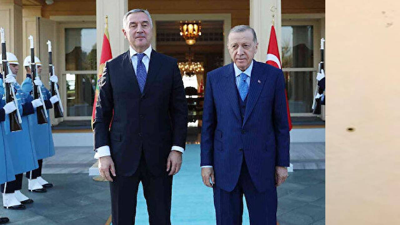 Cumhurbaşkanı Erdoğan, Karadağ Cumhurbaşkanı Cukanoviç görüştü