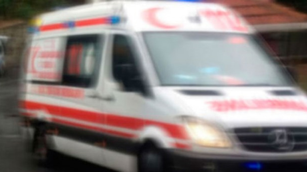 Aydın'da korkunç cinayet! Ağabeyini öldürmüştü! Cinayetin sebebi belli oldu