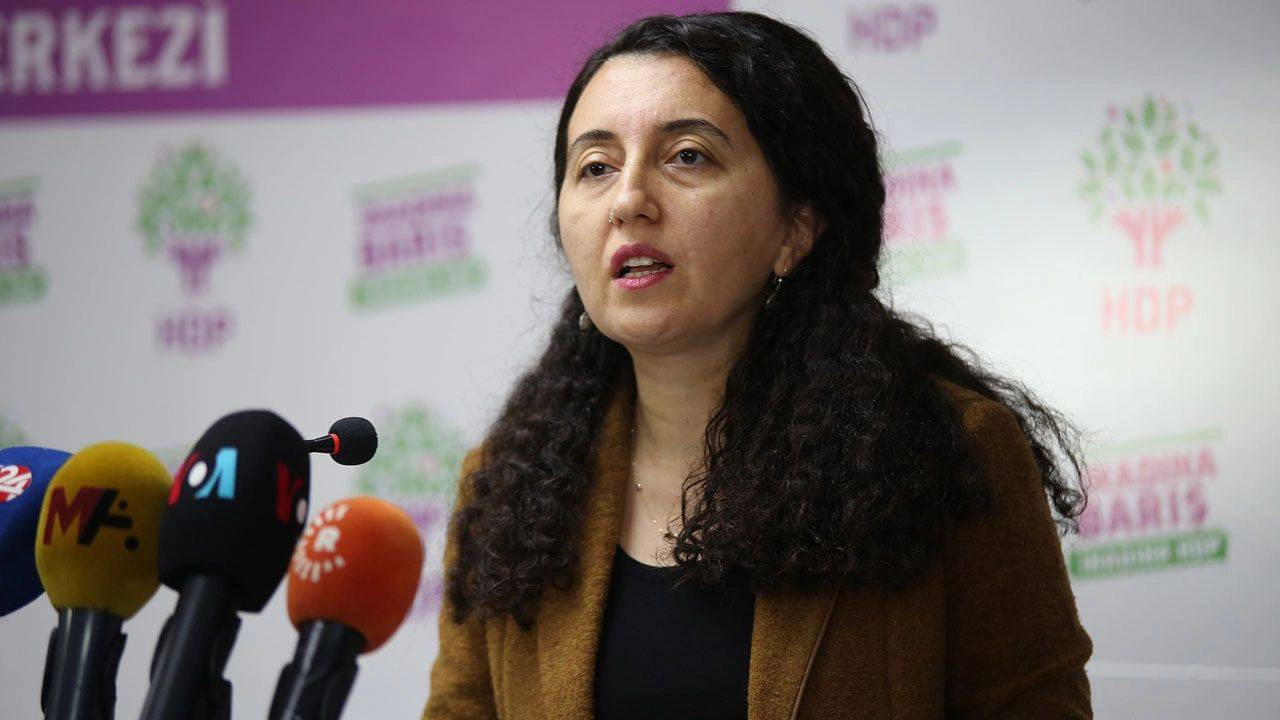 HDP'li Ebru Günay'dan polis ve askerimize iftira!