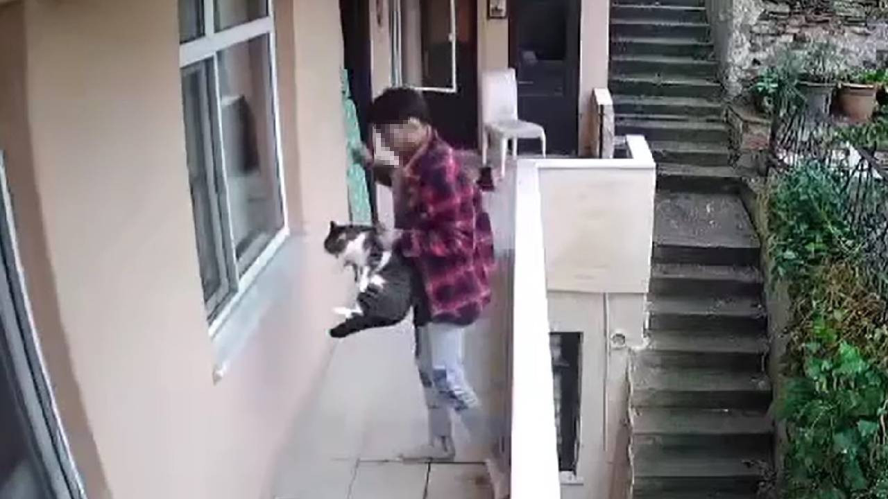 Evden kaçan kediyi acımasızca yumrukladı! O anlar kamerada...