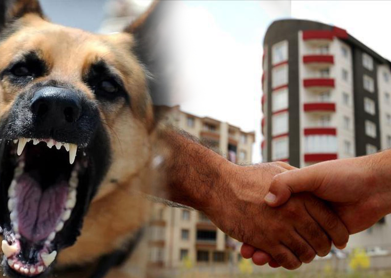 Ev almak isteyen vatandaşların artık yeni kriteri var