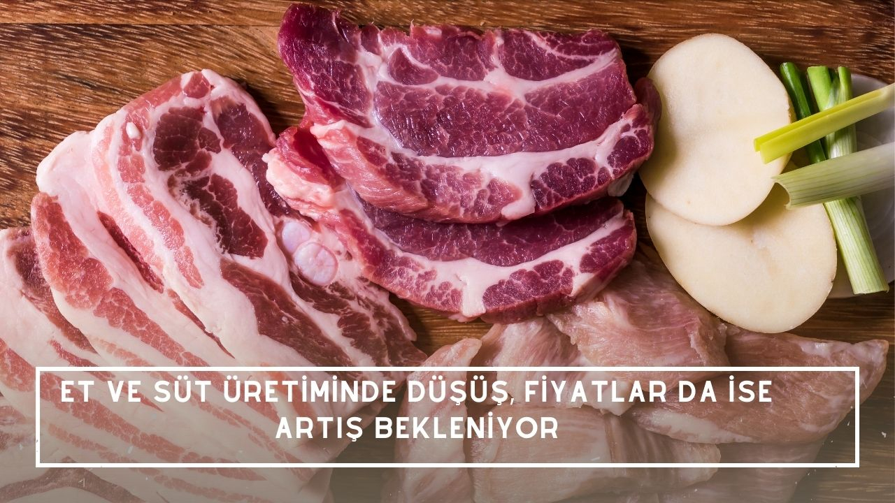 Et ve süt üretiminde düşüş, fiyatlar da ise artış bekleniyor