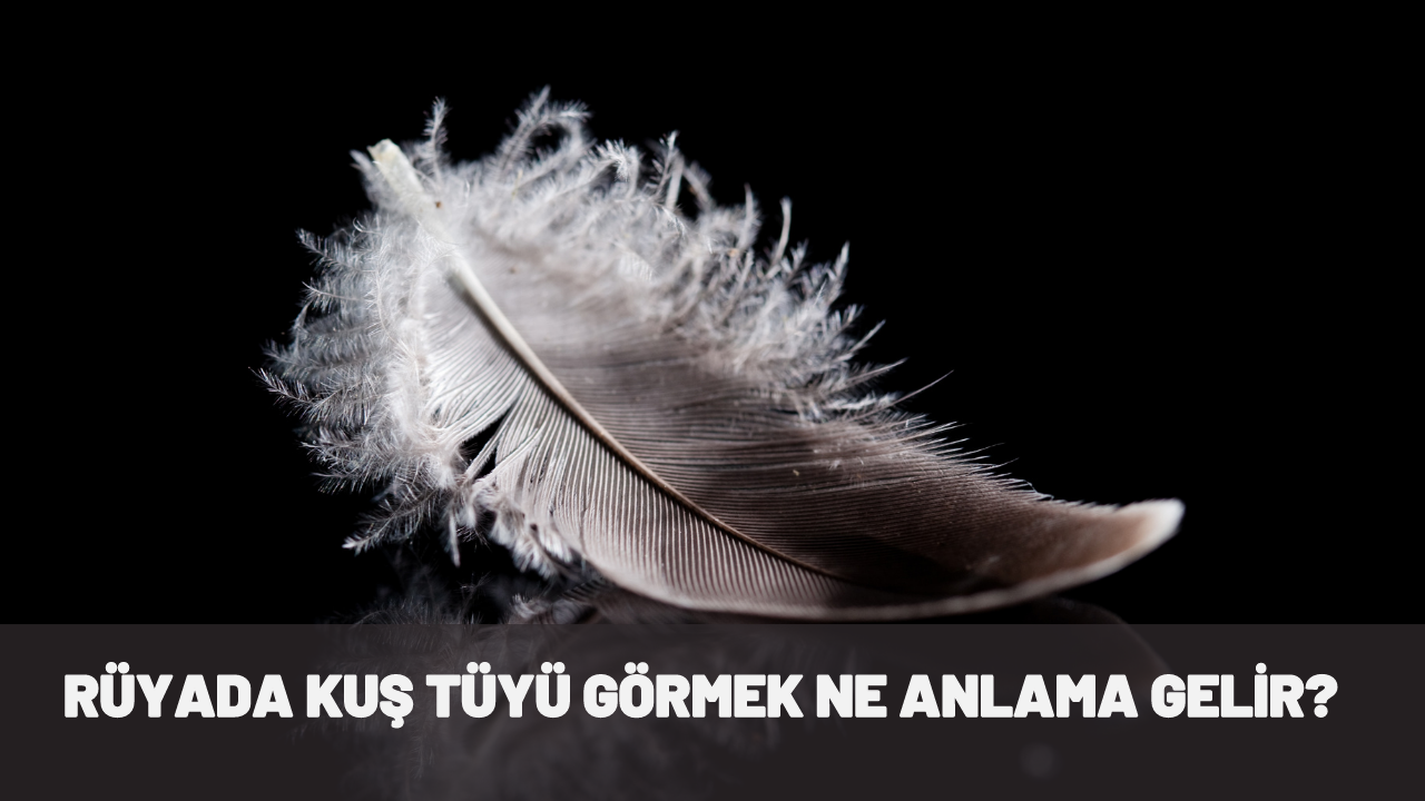Rüyada kuş tüyü görmek ne anlama gelir?