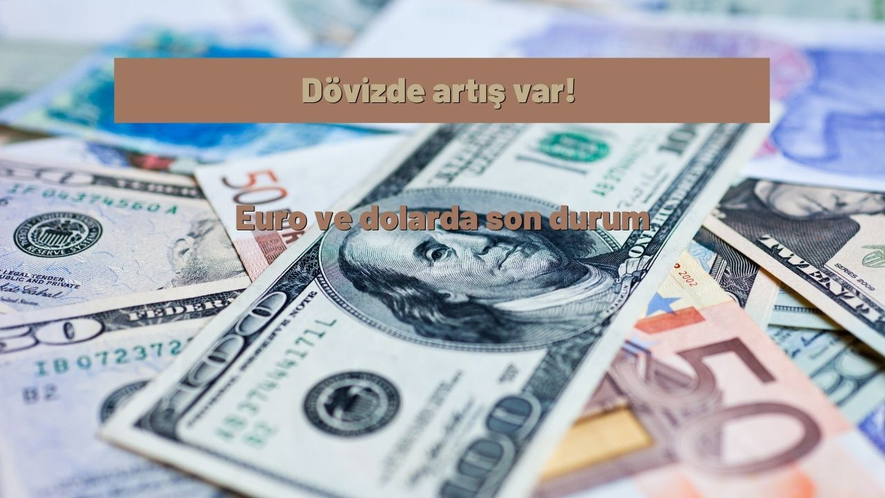 Dövizde artış var! Euro ve dolarda son durum