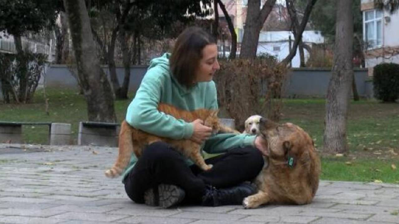 Ümraniye'de beslediği köpeklerini kurtarmak için kurşunlara siper oldu