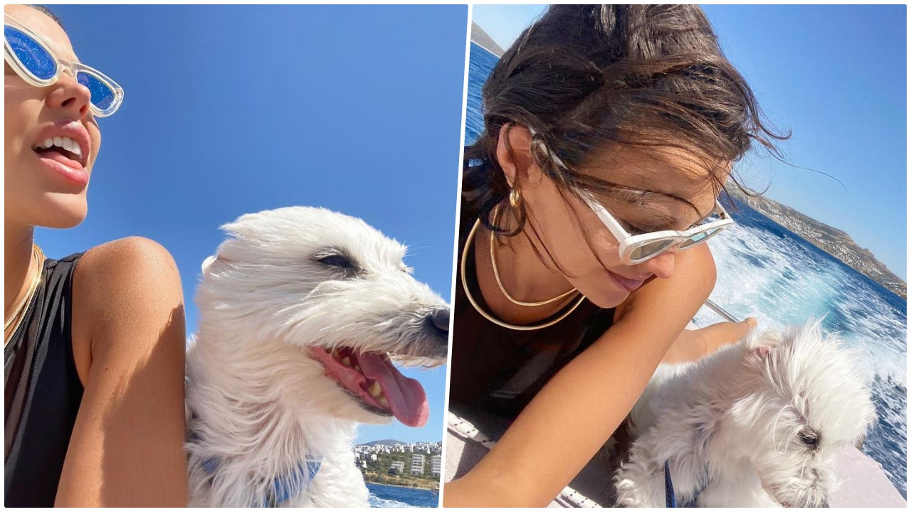 Tuvana Türkay'ın korku dolu anları! Köpeğinin peşinden denize atladı