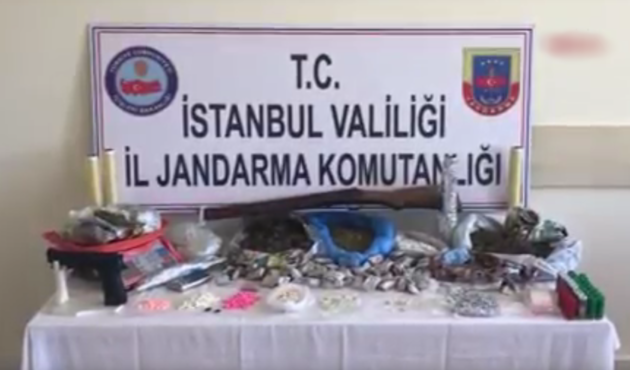 İstanbul'da şafak operasyonu! 2 bonzai çetesi çökertildi... / VİDEO