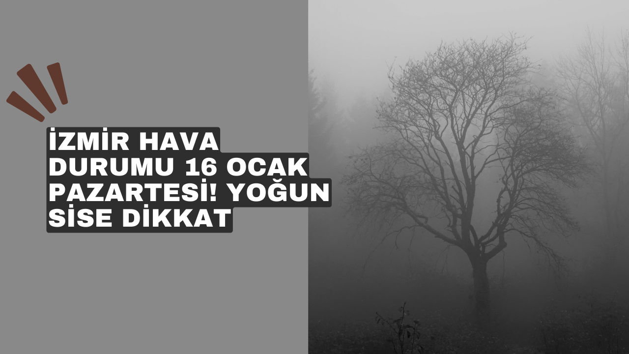 İzmir hava durumu 16 Ocak Pazartesi! Yoğun sise dikkat