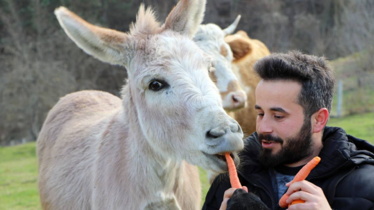 'Arkadaşım eşek' şarkısını aratmayan dostluk