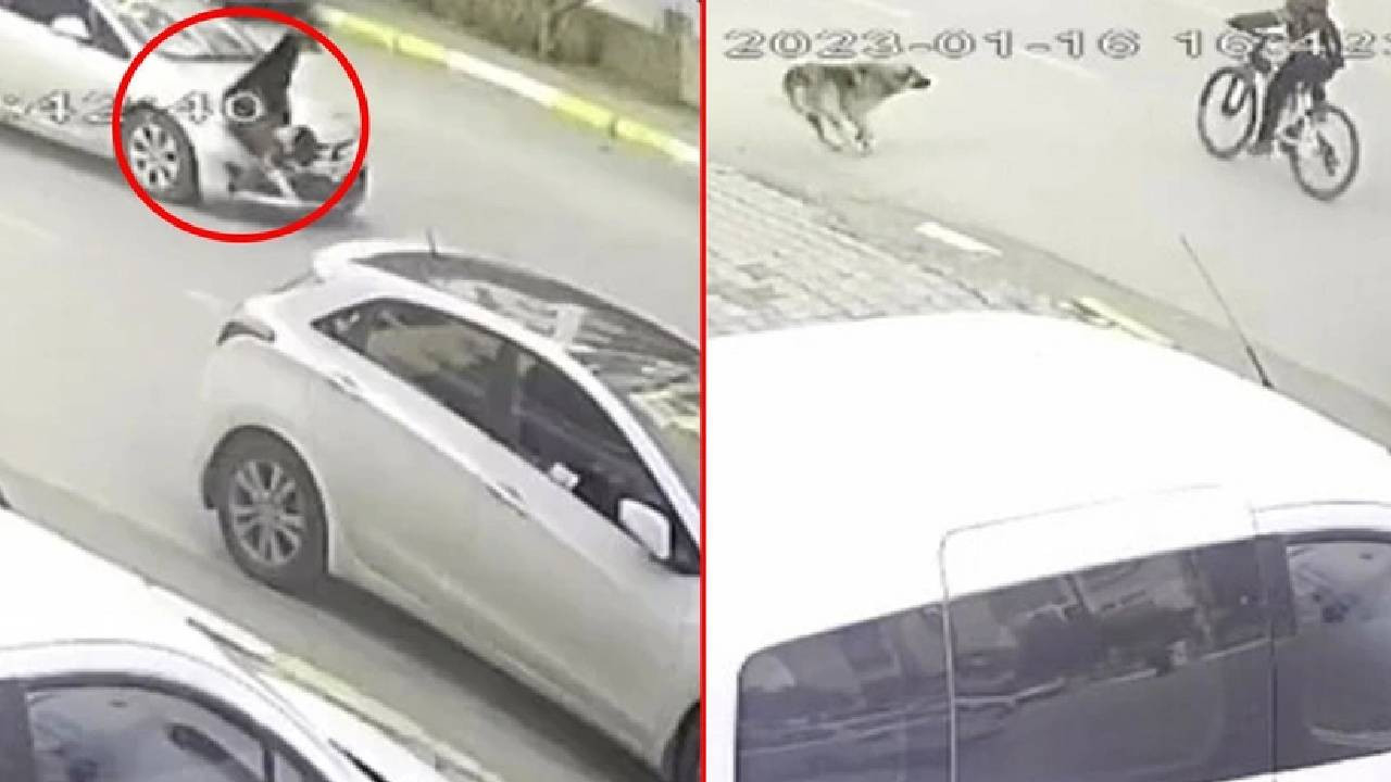 Köpekten kaçan bisikletli çocuğa otomobil çarptı