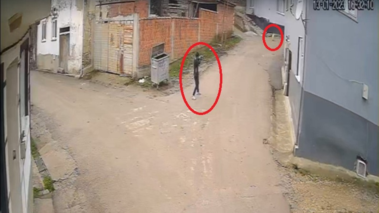 Bursa'da kan donduran olay! Kovaladığı köpeği tüfekle öldürdü