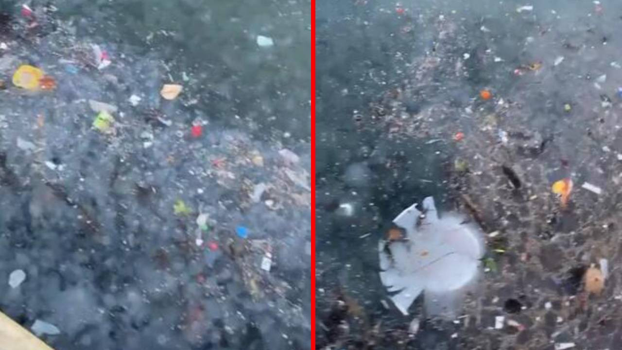 Sarıyer sahili çöp ve denizanasına teslim oldu!