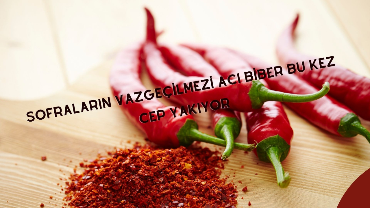 Sofraların vazgeçilmezi acı biber bu kez cep yakıyor! Kilosu 250 TL'den satılıyor