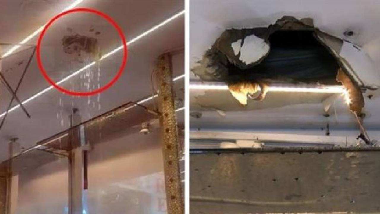 Kiracısını çıkarmak için iş yerinin tavanını delip, sarımsaklı su döktü