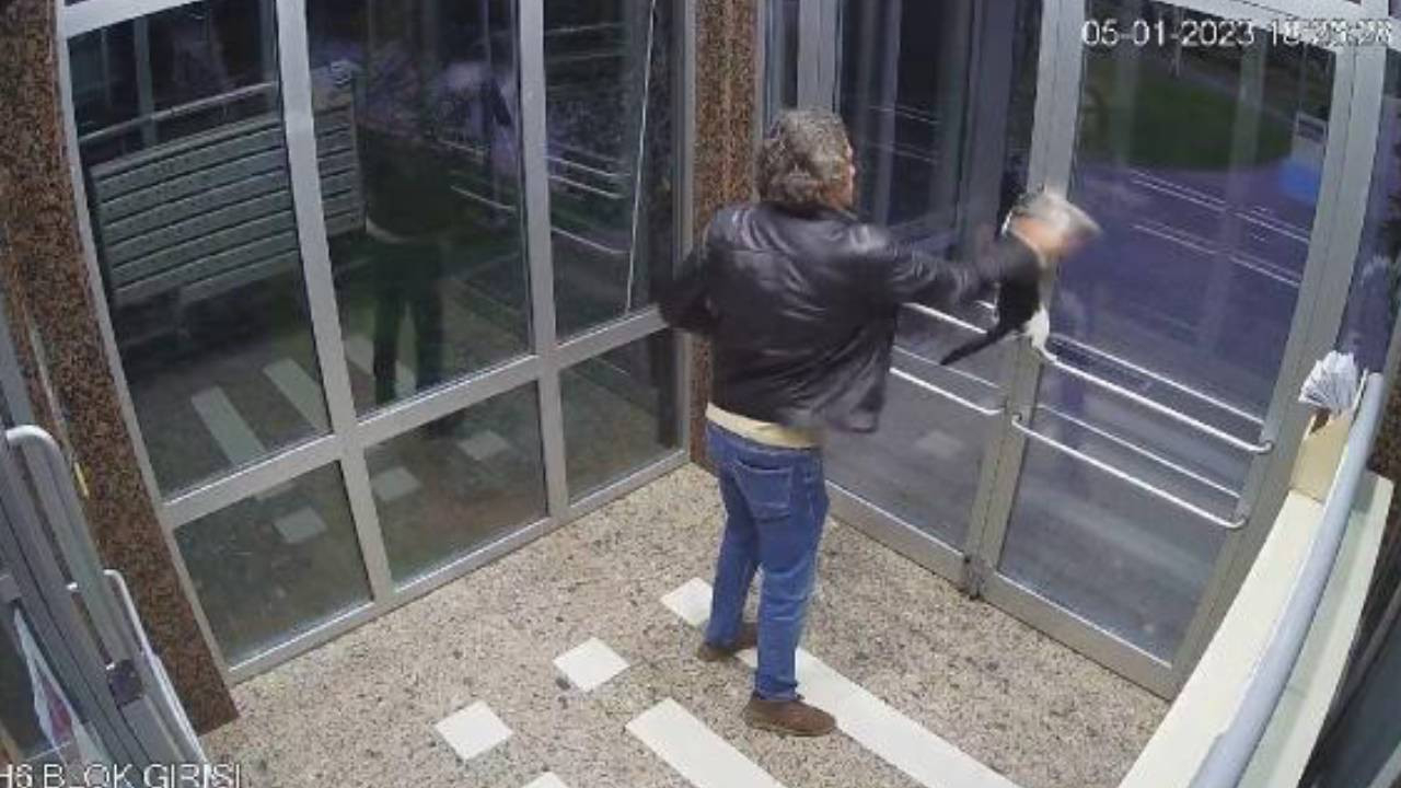 Skandal görüntüler! Küçükçekmece’deki kedi düşmanı yine sahnede