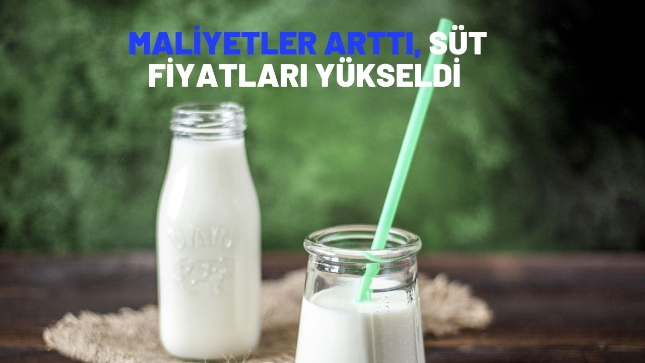 Maliyetler arttı, süt fiyatları yükseldi