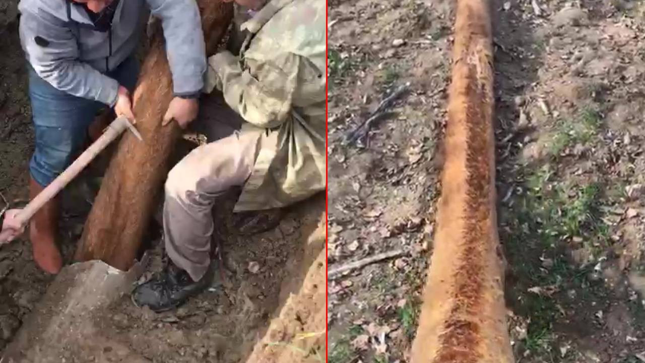 Köylüler şaştı kaldı! Tıkınan su borusundan 6 metrelik kök çıktı