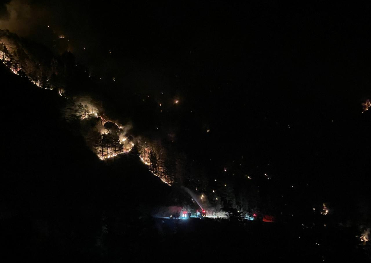 Alanya’da orman yangını! Bir mahalle tahliye edildi
