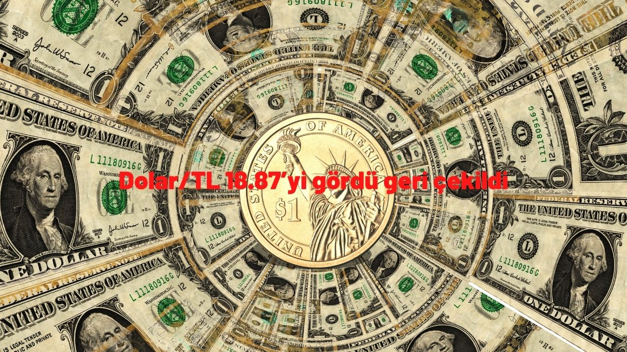 Dolar/TL 18.87’yi gördü geri çekildi