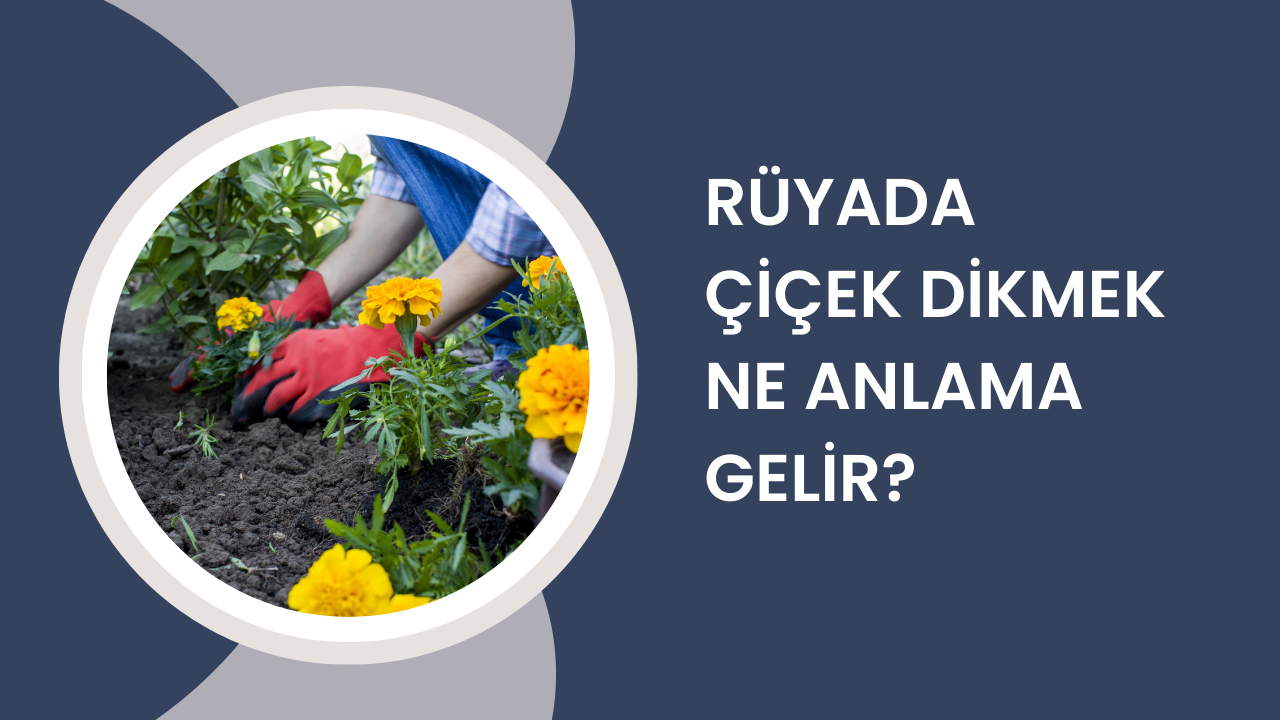 Rüyada çiçek dikmek ne anlama gelir?
