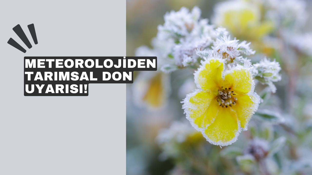 Meteorolojiden tarımsal don uyarısı!