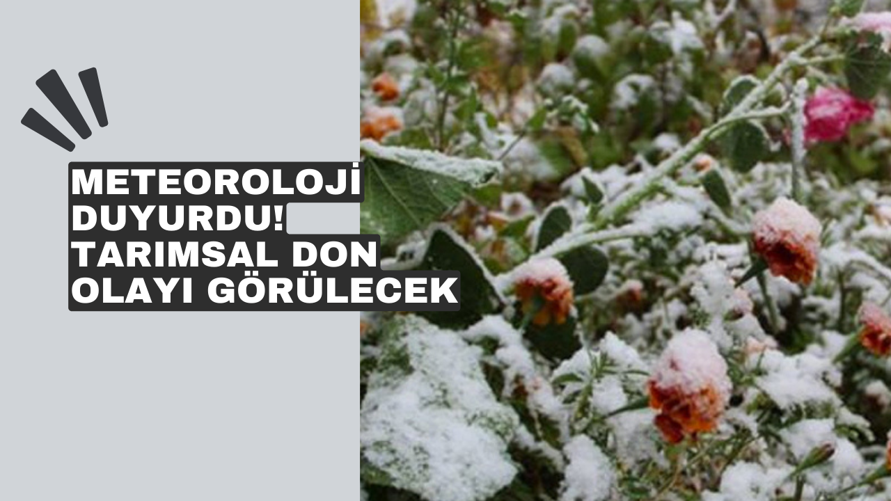 Meteoroloji duyurdu! Tarımsal don olayı görülecek