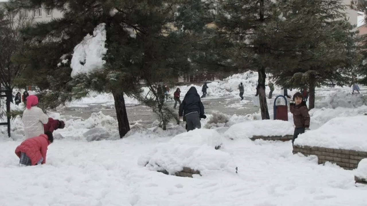 Rize'de tüm okullarda, Ordu, Artvin ve Giresun'da bazı ilçelerde eğitime 1 gün ara verildi