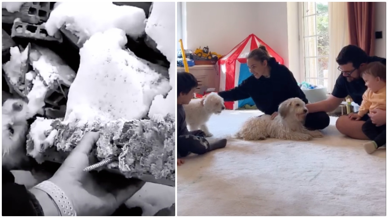 Berfu ile Eser Yenenler enkazdan çıkarılan 2 köpeği sahiplendi