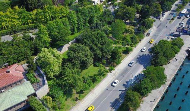 İBB 'Kesim Olmayacak' Dedi, ağaçlar işaretlendi!