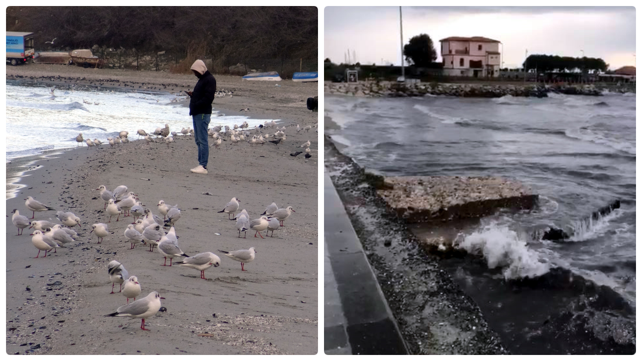 Avcılar'da korkutan manzara! Deniz metrelerce çekildi