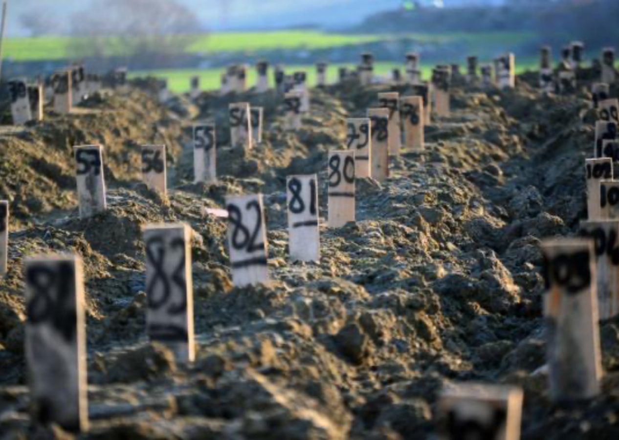 Deprem bölgesinde en zor görev! Cenazelerin kimliği böyle belirleniyor