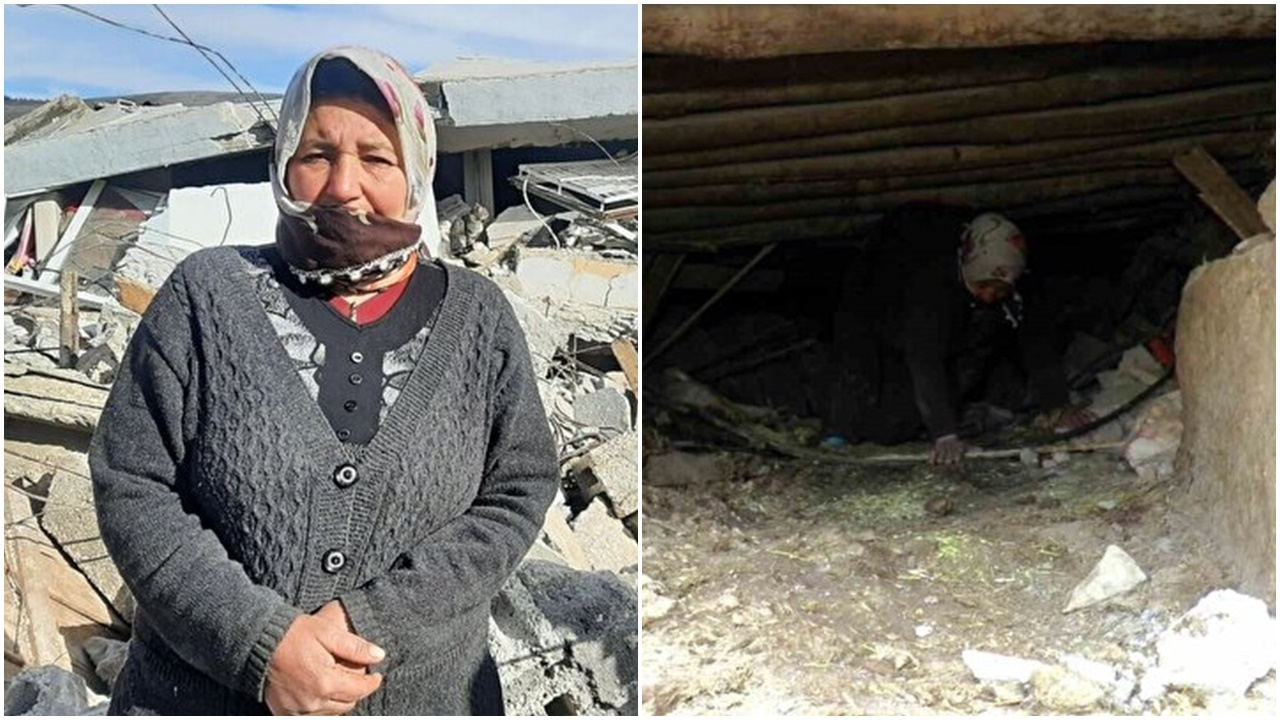Gülümseten görüntü: İneğini kurtarabilmek için enkazın altına girdi! Her gün yemini ve suyunu verdi