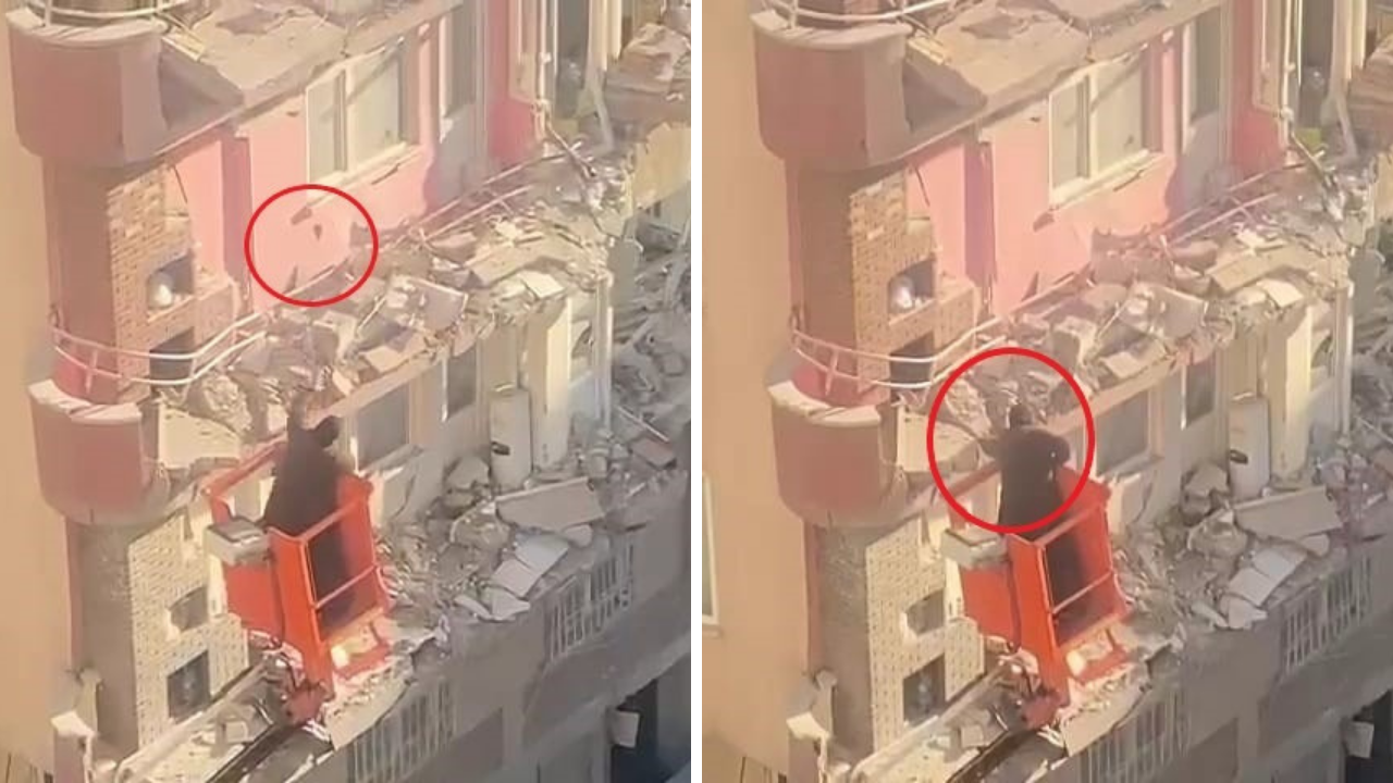 Kedisi için tehlikeleri göze aldı! Hasarlı binaya vinçle tırmandı...