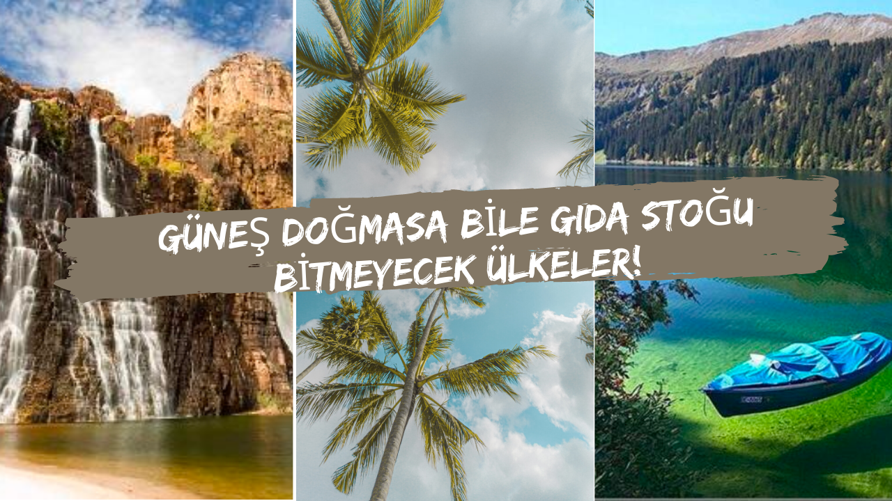 Güneş doğmasa bile gıda stoğu bitmeyecek ülkeler! Bu ülkeler her felakete hazırlar...