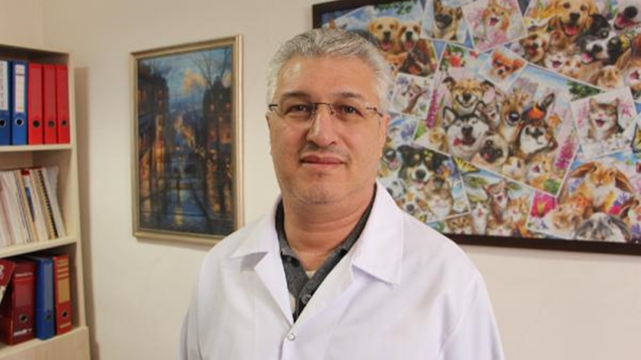 'Hayvanların depremi önceden hissedebildiği' iddialarına uzmanından yanıt geldi