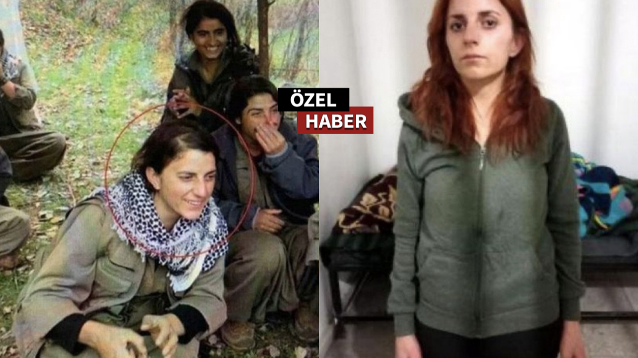 PKK'lı terörist savcıya ifade verdi! Etkin pişmanlıktan faydalanmak istedi!