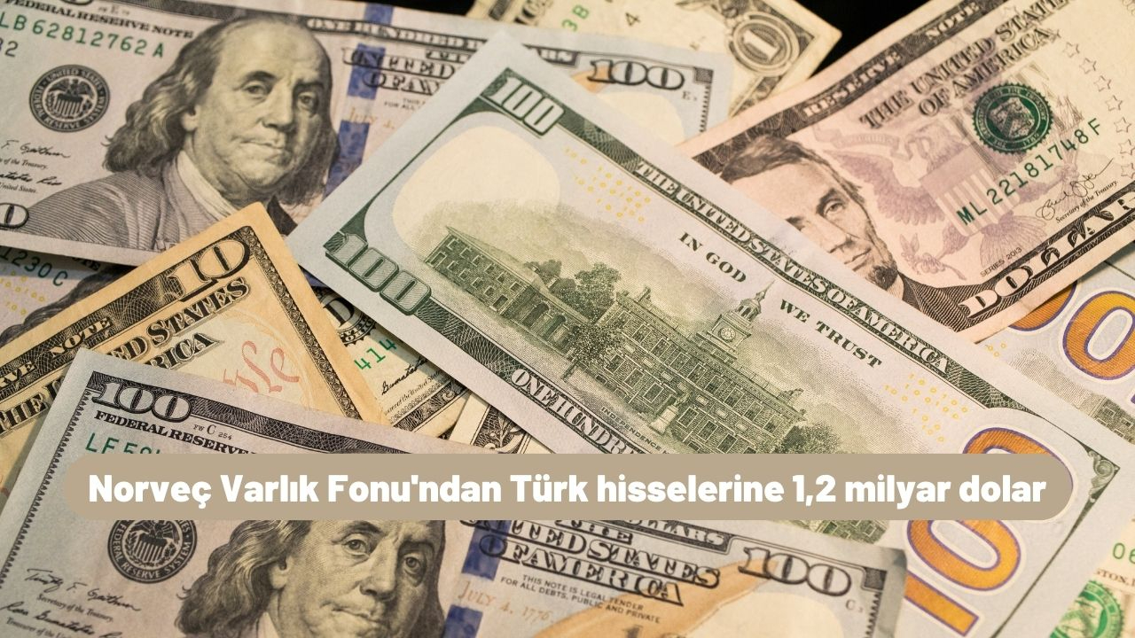 Norveç Varlık Fonu'ndan Türk hisselerine 1,2 milyar dolar