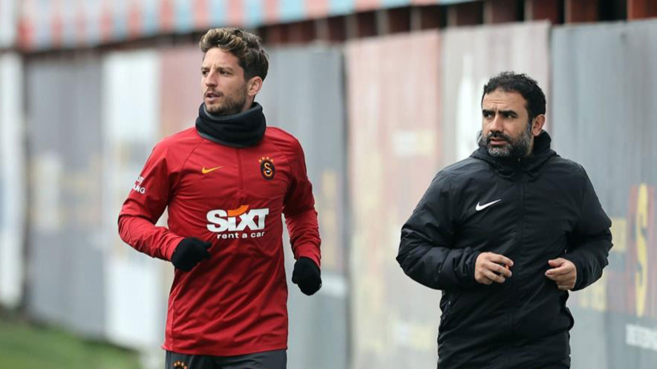 Mertens bireysel çalışmalarını sürdürdü