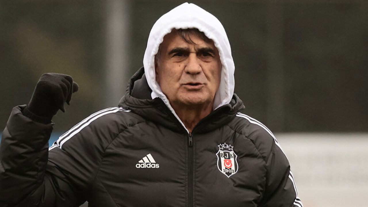Şenol Güneş: Başka çaremiz yok