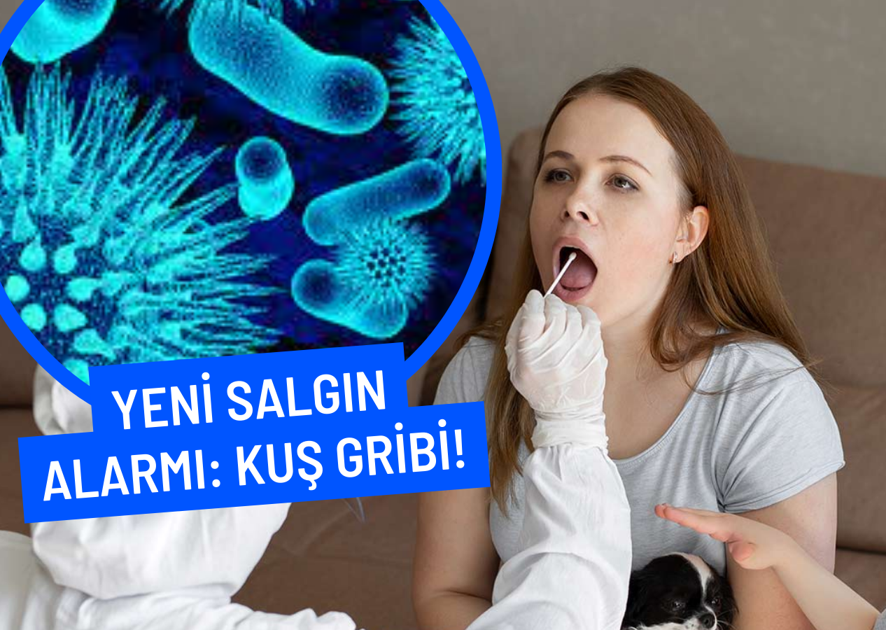 Yeni salgın alarmı: Kuş gribi! Yüksek derecede bulaşıcı olduğu tespit edildi