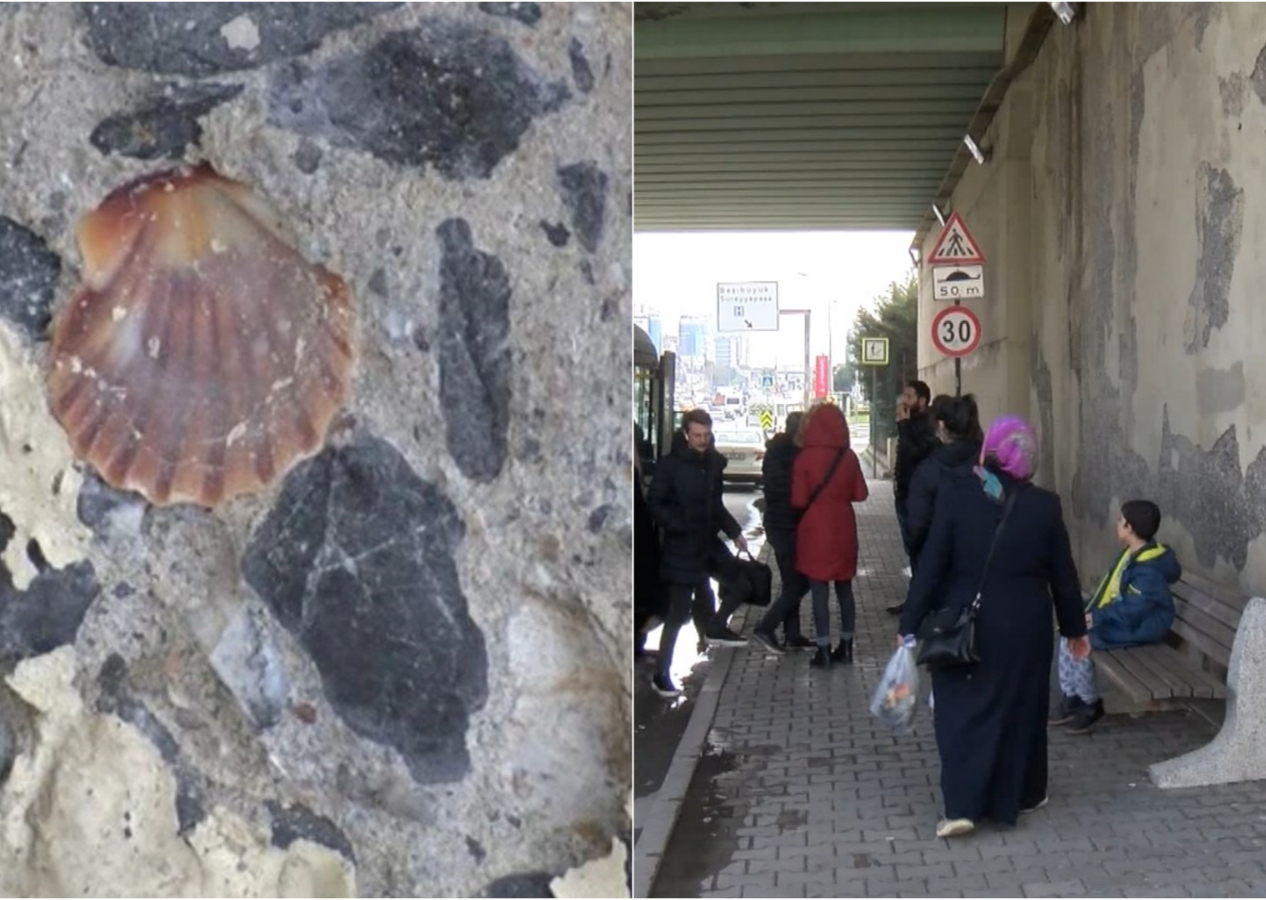 O köprünün betonundan midye kabukları çıktı: Şikayet yağdı