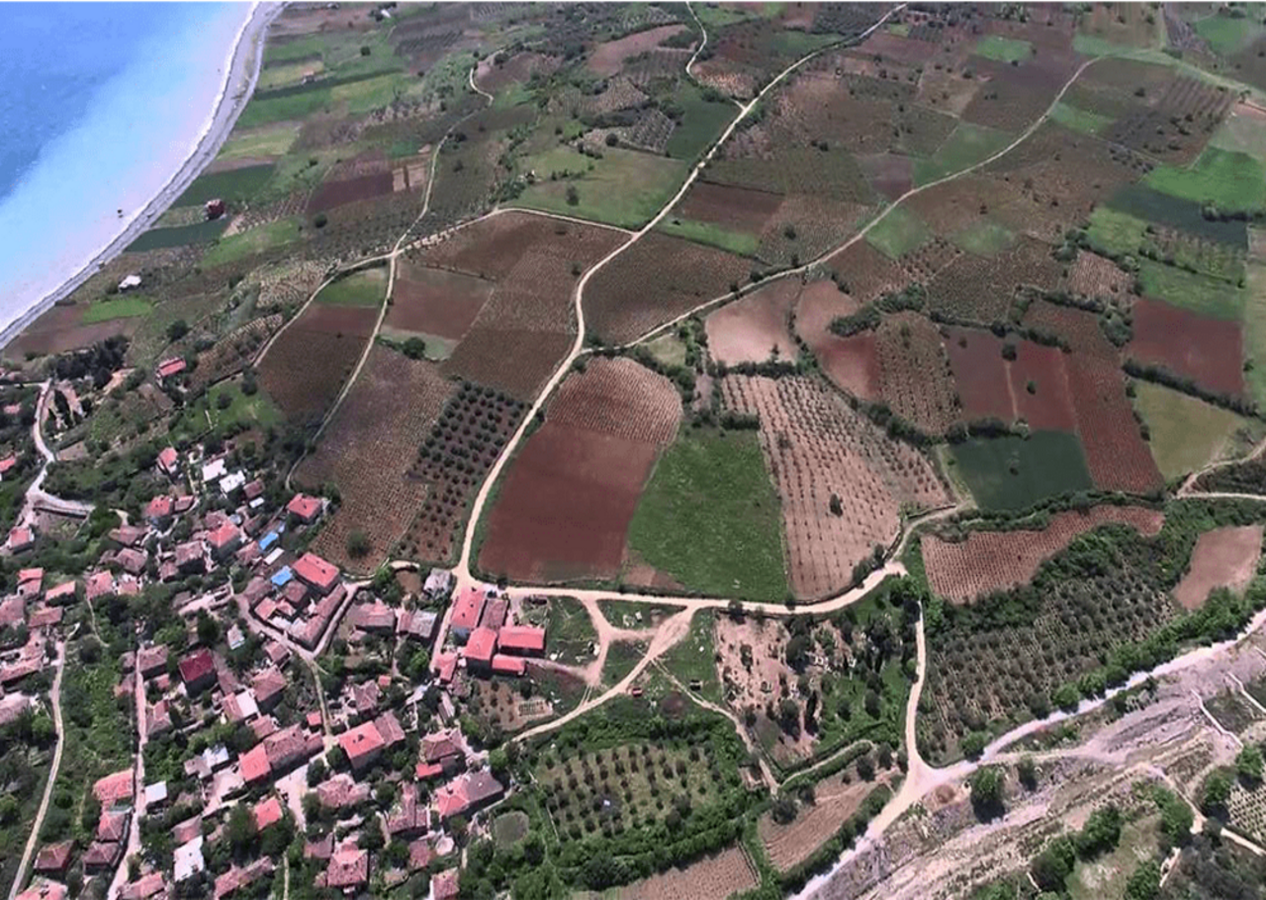 111 yıldır uyuyan canavar buradan karaya çıkıyor...